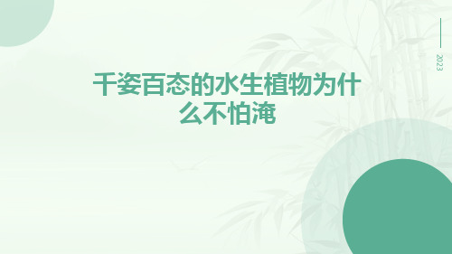 千姿百态的水生植物为什么不怕淹