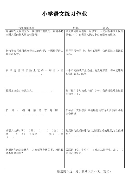 小学六年级语文拓展训练 (62)