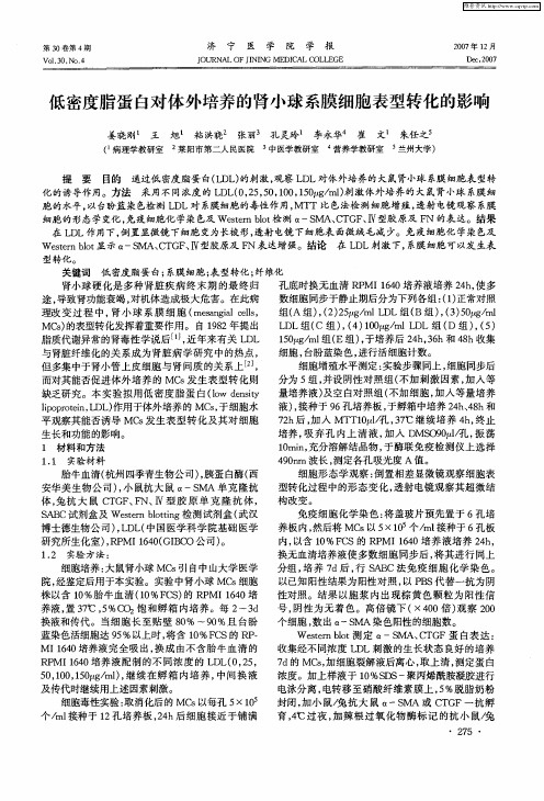 低密度脂蛋白对体外培养的肾小球系膜细胞表型转化的影响