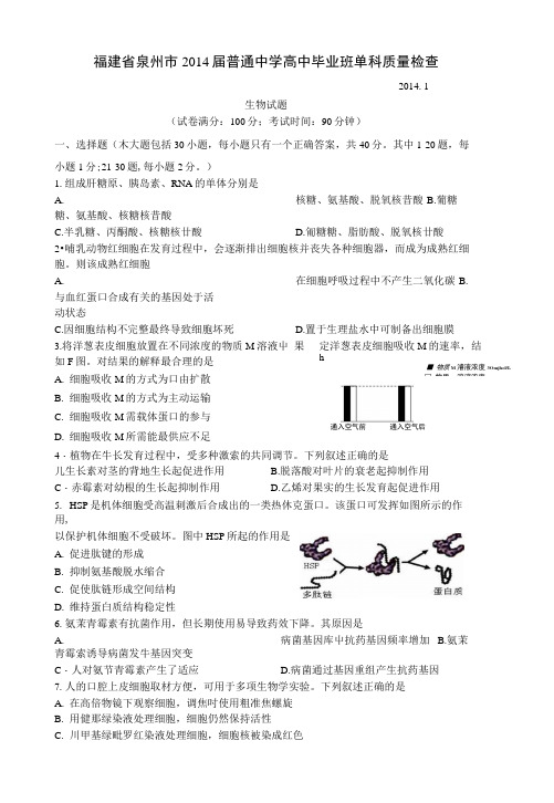 福建省泉州市高三生物毕业班单科质量检查试题新人教版.docx