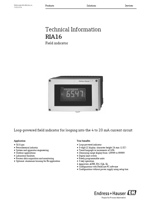 Endress+Hauser RIA16 循环电流电源字段指示器说明说明书