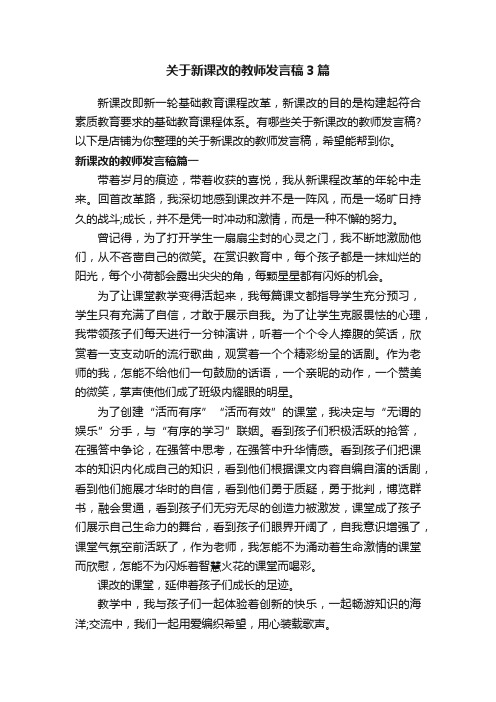 关于新课改的教师发言稿3篇