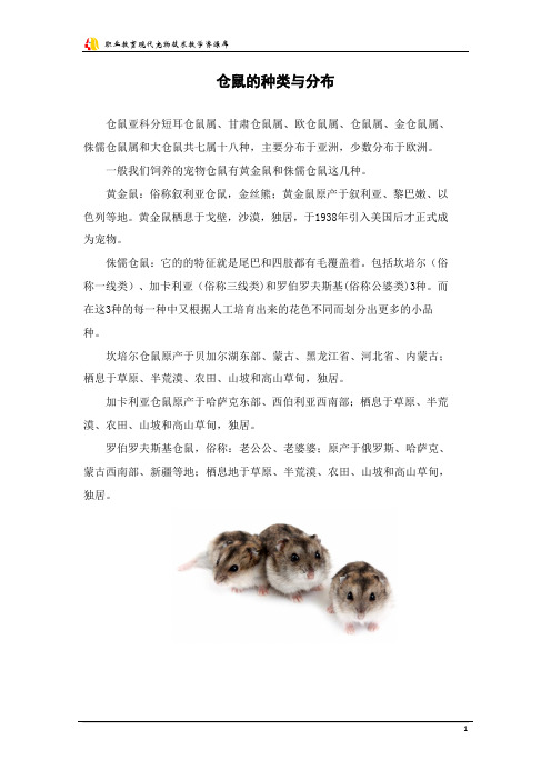 仓鼠的种类与分布.