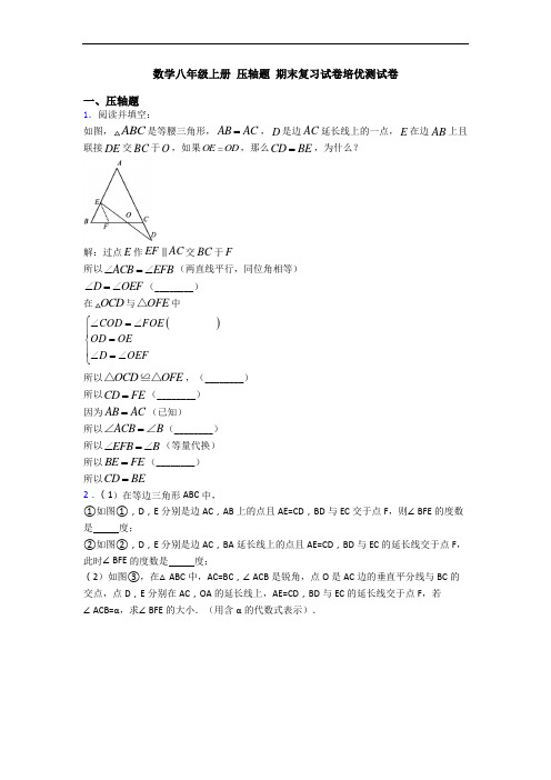 数学八年级上册 压轴题 期末复习试卷培优测试卷