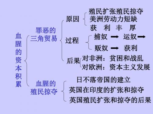 历史：第16课《殖民地人民的抗争》课件2(人教新课标九年级上)