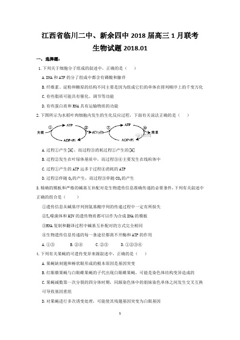 江西省临川二中、新余四中2018届高三1月联考生物试卷(带答案)