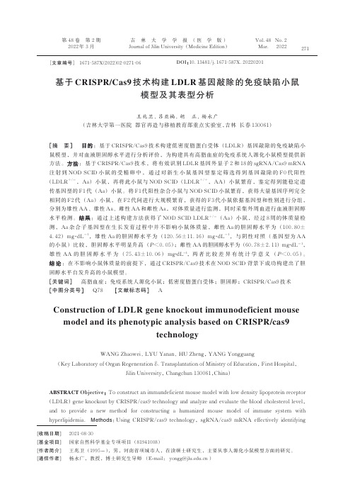 基于CRISPRCas9技术构建LDLR基因敲除的免疫缺陷小鼠模型及其表型分析