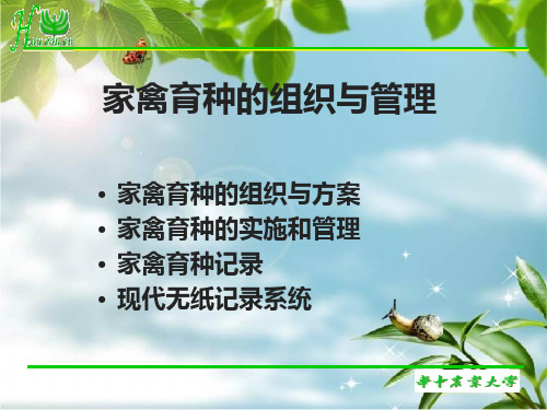 现代家禽育种的组织与管理幻灯片PPT