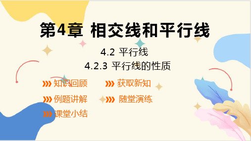 4.2.3平行线的性质  课件(共22张PPT)