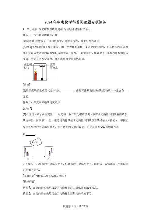 2024年中考化学科普阅读题专项训练