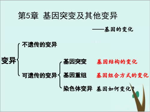 《染色体变异》PPT课件下载高中生物 人教版1