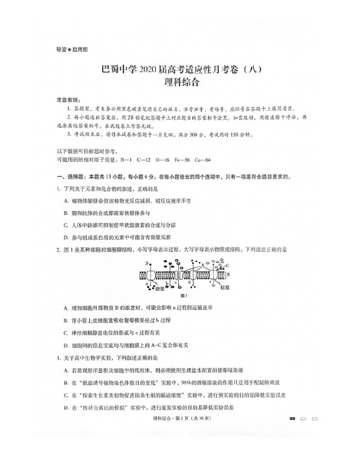 重庆市巴蜀中学2020届高三高考适应性月考卷(八)理科综合试题 扫描版含答案