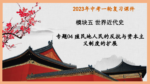 2023年中考历史一轮复习精讲精练专题04殖民地人民的反抗与资本主义制度的扩展(课件)