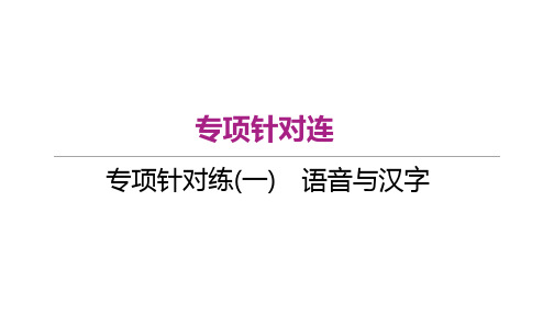 七年级语文下册 专项针对练(1) 语音与汉字