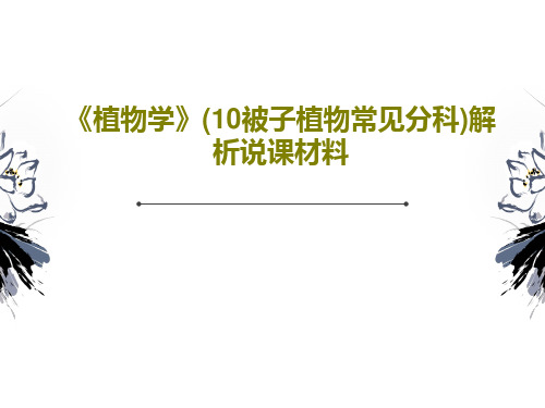 《植物学》(10被子植物常见分科)解析说课材料PPT共21页