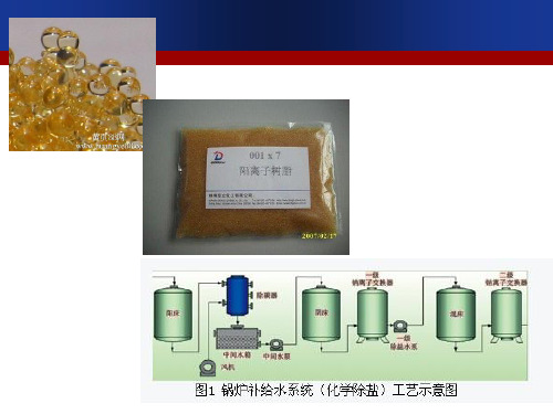 离子交换树脂