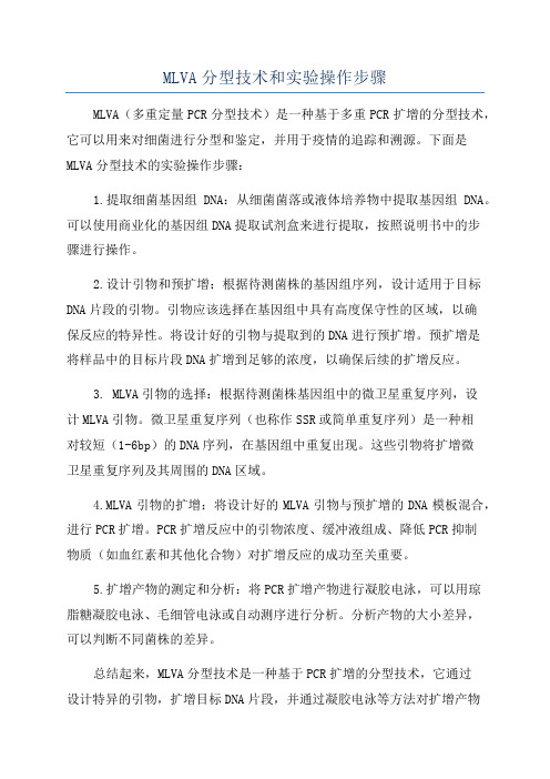 MLVA分型技术和实验操作步骤