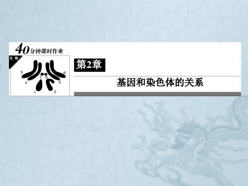 高一生物人教版必修二40分钟课时作业 2-2 基因在染色体上