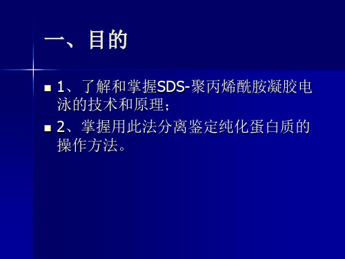 实验二聚丙烯酰胺凝胶电泳SDS-PAGE鉴定免疫球蛋白