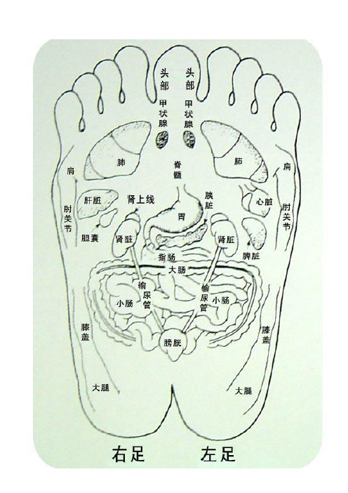 足底穴位图