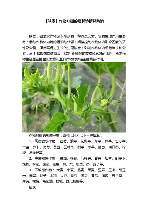 【缺素】作物缺硼的症状诊断及防治