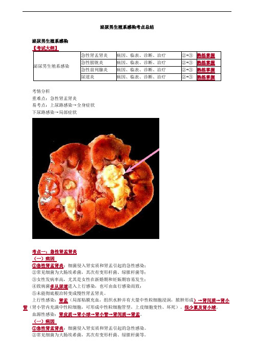 泌尿男生殖系感染考点总结