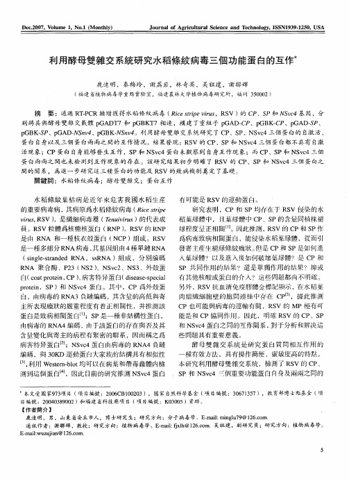 利用酵母双杂交系统研究水稻条纹病毒三个功能蛋白的互作