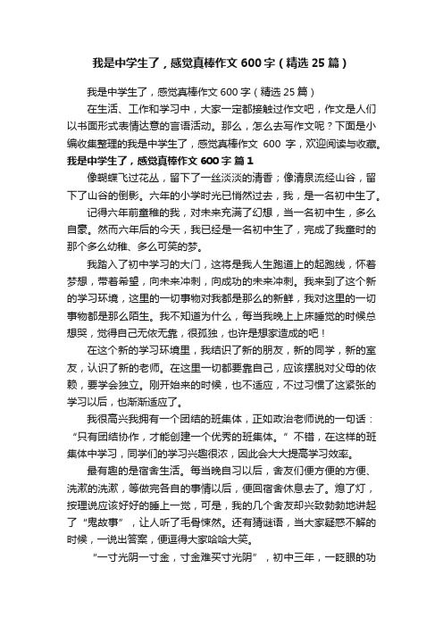 我是中学生了，感觉真棒作文600字（精选25篇）