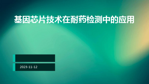 基因芯片技术在耐药检测中的