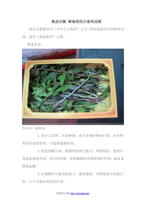 铁皮石斛 鲜条的四大食用功效