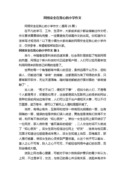 网络安全在我心的小学作文