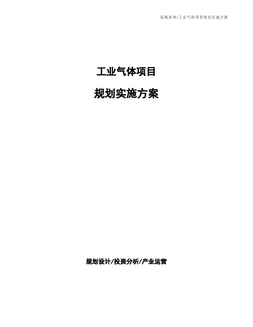 工业气体项目规划实施方案