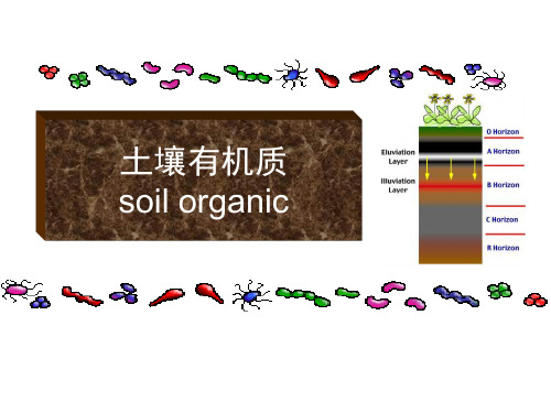 土壤学课件第二章