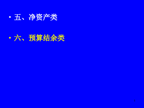 2019年新政府会计制度(净资产结余)参考资料