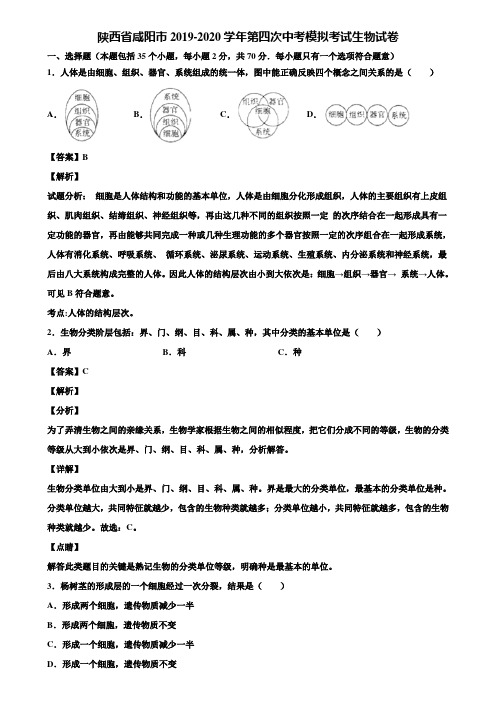 陕西省咸阳市2019-2020学年第四次中考模拟考试生物试卷含解析