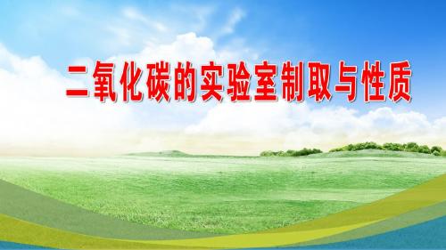 人教版九年级化学上册4 6.3 二氧化碳的制取和性质说课  (共23张PPT)