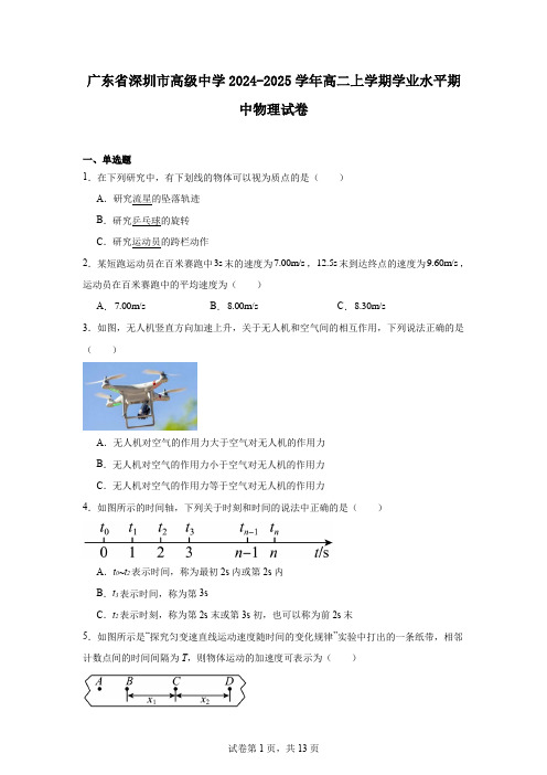 广东省深圳市高级中学2024-2025学年高二上学期学业水平期中物理试卷