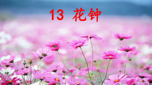 13.《花钟》课件(共26张PPT)