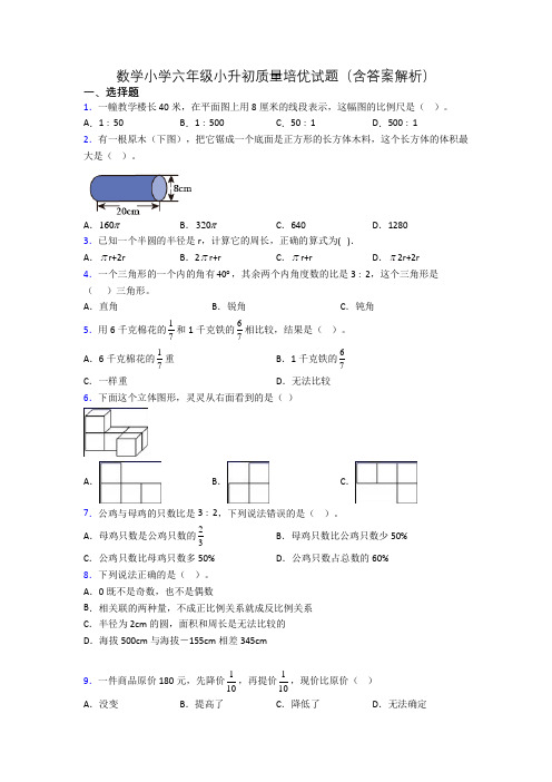 数学小学六年级小升初质量培优试题(含答案解析)