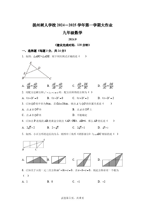 江苏省扬州中学教育集团树人学校2024-2025学年九年级上学期月考数学试题[含答案]