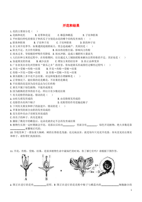 七年级生物上册 3.2.3 开花和结果同步练习 (新版)新人教版