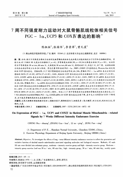 7周不同强度耐力运动对大鼠骨骼肌线粒体相关信号PGC-1α、UCP3和COXⅣ