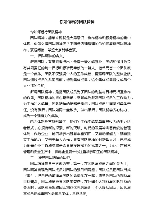 你如何看待团队精神