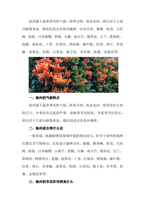 徐州适合养什么花,市花和市树是什么