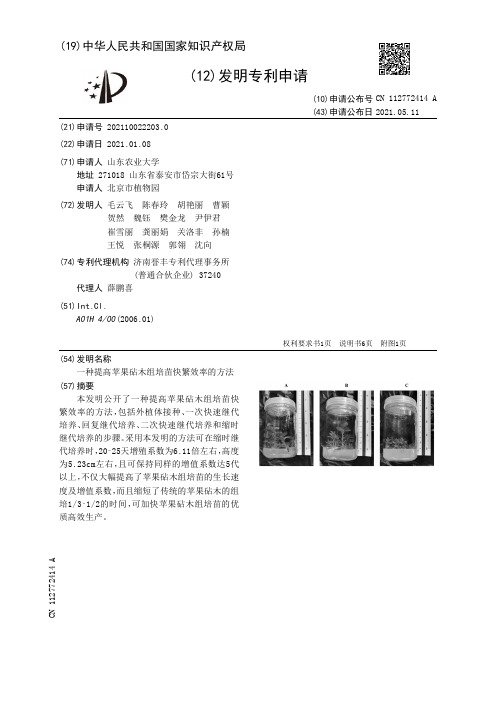 一种提高苹果砧木组培苗快繁效率的方法[发明专利]