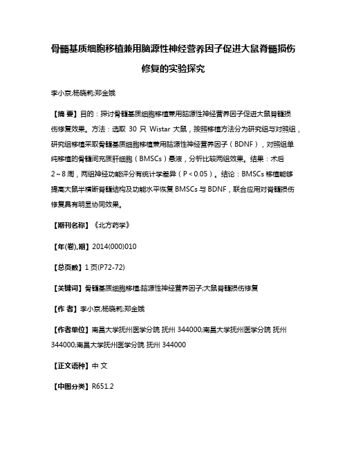 骨髓基质细胞移植兼用脑源性神经营养因子促进大鼠脊髓损伤修复的实验探究