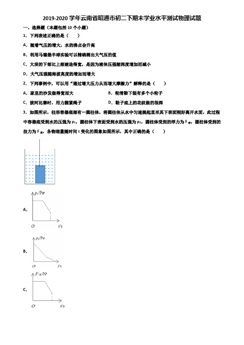 2019-2020学年云南省昭通市初二下期末学业水平测试物理试题含解析