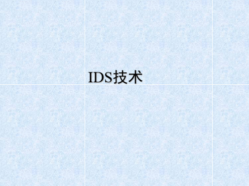 IDS技术原理PPT课件