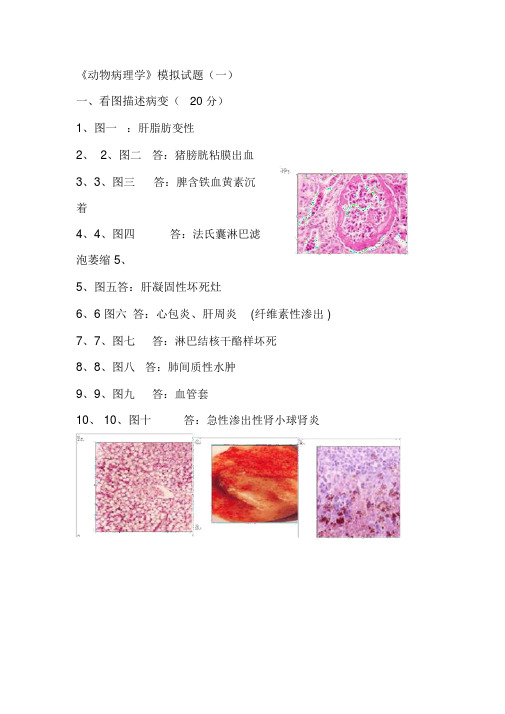 《动物病理学》1模拟试题1-6套