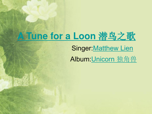 高级英语- The loons